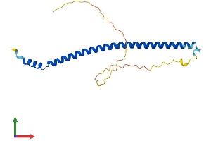 Protein Structure (PS) image for Chromosome 19 Open Reading Frame 50 (C19orf50) (AA 1-177) protein (His tag) (ABIN7558419)