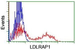 Flow Cytometry (FACS) image for anti-Low Density Lipoprotein Receptor Adaptor Protein 1 (LDLRAP1) antibody (ABIN1496690) (LDLRAP1 抗体)