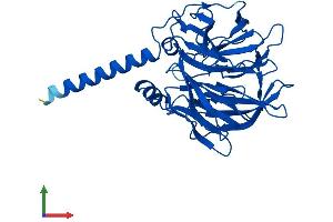 Protein Structure (PS) image for Paraoxonase 2 (PON2) (AA 1-354) protein (His tag) (ABIN7550860)