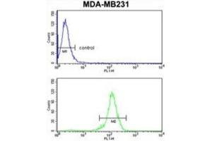 Flow Cytometry (FACS) image for anti-Retinoblastoma Binding Protein 7 (RBBP7) antibody (ABIN3003931) (RBBP7 抗体)