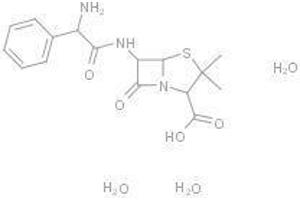 Ampicillin Trihydrate (Ampicillin Trihydrate)