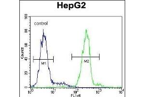 Flow Cytometry (FACS) image for anti-Voltage-Dependent Anion Channel 1 (VDAC1) (AA 1-30), (N-Term) antibody (ABIN390563)