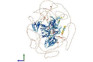 Protein Structure (PS) image for Membrane Associated Guanylate Kinase, WW and PDZ Domain Containing 2 (MAGI2) (AA 1-1455) protein (His tag) (ABIN7554461)