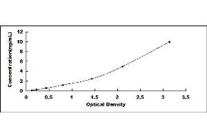 Typical standard curve (CDC42 ELISA 试剂盒)