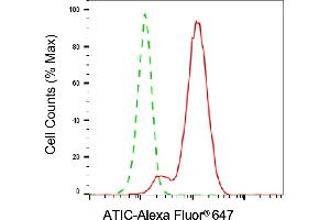 anti-5-Aminoimidazole-4-Carboxamide Ribonucleotide Formyltransferase/IMP Cyclohydrolase (ATIC) antibody