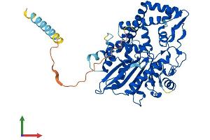 AlphaFold protein structure predicition of Human Recombinant PXYLP1 Protein, UniprotID Q8TE99