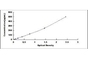 Typical standard curve (TNF alpha ELISA 试剂盒)