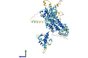 AlphaFold protein structure predicition of Mouse Recombinant Orc3 Protein, UniprotID Q9JK30 (ORC3 Protein (AA 1-715) (His tag))