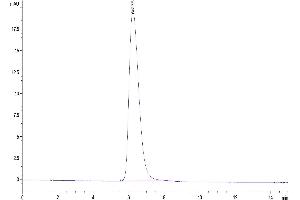 Size-exclusion chromatography-High Pressure Liquid Chromatography (SEC-HPLC) image for Tumor-Associated Calcium Signal Transducer 2 (TACSTD2) (AA 27-274) protein (Fc Tag) (ABIN7275795)