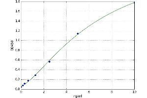 Growth Differentiation Factor 6 (GDF6) ELISA Kit