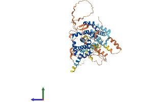 AlphaFold protein structure predicition of Human Recombinant TBC1D3L Protein, UniprotID B9A6J9
