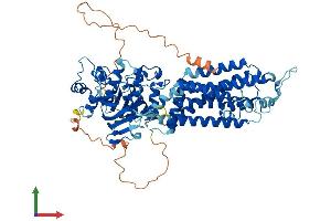 Protein Structure (PS) image for ATP-Binding Cassette, Sub-Family G (WHITE), Member 1 (ABCG1) (AA 1-678) protein (His tag) (ABIN7551763)