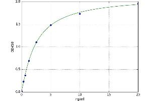 A typical standard curve (IGFBP2 ELISA 试剂盒)