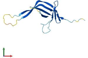 Protein Structure (PS) image for CTF8, Chromosome Transmission Fidelity Factor 8 (CHTF8) (AA 1-121) protein (His tag) (ABIN7562814)