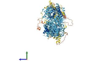 Protein Structure (PS) image for ATP-Binding Cassette, Sub-Family A (ABC1), Member 9 (ABCA9) (AA 1-1623) protein (His tag) (ABIN7564669)