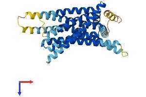 Taste Receptor, Type 2, Member 102 (TAS2R102) (AA 1-329) protein (His tag)