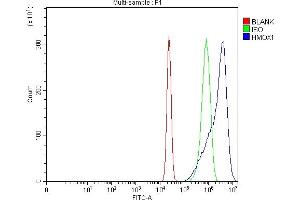 Flow Cytometry analysis of U20S cells using anti-Heme Oxygenase 1/HMOX1 antibody (ABIN7600408).