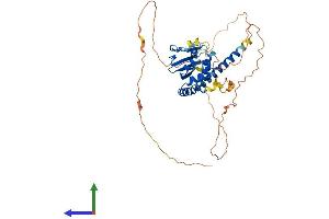 Protein Structure (PS) image for TSPY-Like 5 (TSPYL5) (AA 1-406) protein (His tag) (ABIN7557885)