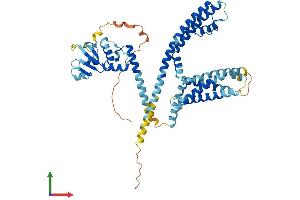 Protein Structure (PS) image for Potassium Voltage-Gated Channel, Subfamily G, Member 4 (Kcng4) (AA 1-506) protein (His tag) (ABIN7558423)