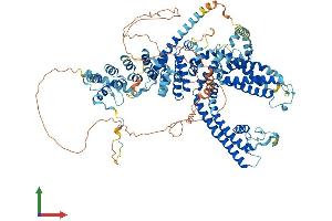 Protein Structure (PS) image for Transient Receptor Potential Cation Channel, Subfamily C, Member 5 (TRPC5) (AA 1-975) protein (His tag) (ABIN7565141)