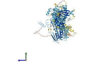 Protein Structure (PS) image for N-Acetyltransferase 10 (GCN5-Related) (NAT10) (AA 1-1024) protein (His tag) (ABIN7564627)