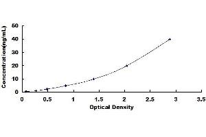 Typical standard curve (Transglutaminase 2 ELISA 试剂盒)