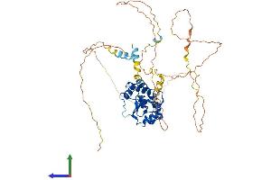 Protein Structure (PS) image for Cell Division Cycle 25 Homolog A (S. Pombe) (CDC25A) (AA 1-514) protein (His tag) (ABIN7563325)