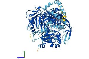 Protein Structure (PS) image for Acyl-CoA Synthetase Long-Chain Family Member 4 (ACSL4) (AA 1-711) protein (His tag) (ABIN7561721)
