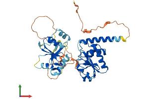 Protein Structure (PS) image for Dual Specificity Phosphatase 9 (DUSP9) (AA 1-384) protein (His tag) (ABIN7547280)