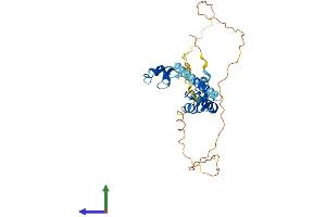 AlphaFold protein structure predicition of Human Recombinant TRIM52 Protein, UniprotID Q96A61