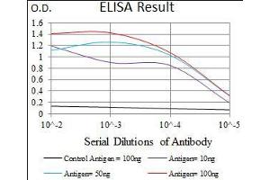 Black line: Control Antigen (100 ng), Purple line: Antigen(10 ng), Blue line: Antigen (50 ng), Red line: Antigen (100 ng), (MAP1LC3A 抗体  (AA 1-121))
