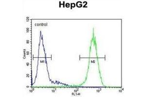 Flow cytometric analysis of HepG2 cells using CD102/ICAM2 Antibody (Center) Cat. (ICAM2 抗体  (Middle Region))