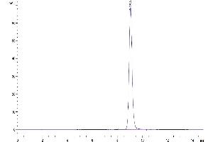 The purity of Biotinylated Human EpCAM is greater than 95 % as determined by SEC-HPLC. (EpCAM Protein (AA 24-265) (His-Avi Tag,Biotin))