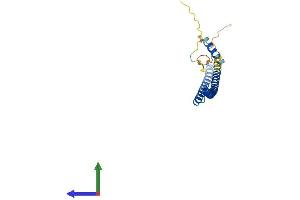 AlphaFold protein structure predicition of Human Recombinant BRMS1 Protein, UniprotID Q9HCU9