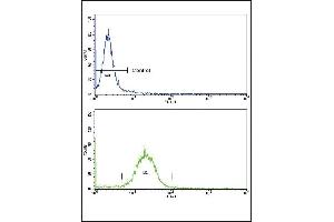 Flow Cytometry (FACS) image for anti-Sorbin and SH3 Domain Containing 2 (Sorbs2) (AA 175-204), (N-Term) antibody (ABIN652279)
