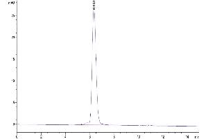Size-exclusion chromatography-High Pressure Liquid Chromatography (SEC-HPLC) image for Platelet Derived Growth Factor Receptor alpha (PDGFRA) (AA 24-524) protein (His-Avi Tag,Biotin) (ABIN7275440)