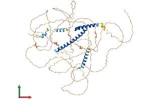 Protein Structure (PS) image for Transcription Factor 4 (TCF4) (AA 1-670) protein (His tag) (ABIN7563873)