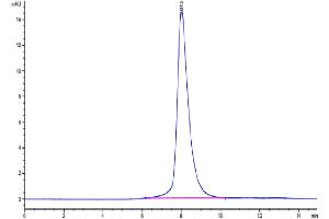 Size-exclusion chromatography-High Pressure Liquid Chromatography (SEC-HPLC) image for Growth Arrest-Specific 6 (GAS6) (AA 49-678) protein (His tag) (ABIN7274698)