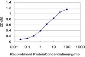 Detection limit for recombinant GST tagged HIC1 is approximately 0. (HIC1 抗体  (AA 396-453))