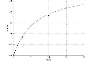 A typical standard curve (EIF3A ELISA 试剂盒)