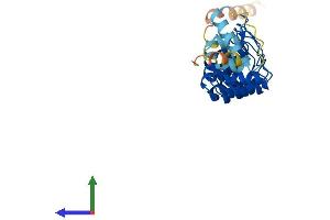 Protein Structure (PS) image for Ankyrin Repeat Domain 7 (ANKRD7) (AA 1-254) protein (His tag) (ABIN7552152)
