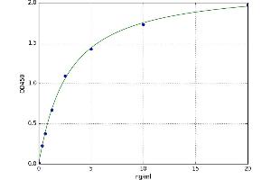 A typical standard curve (ANG ELISA 试剂盒)