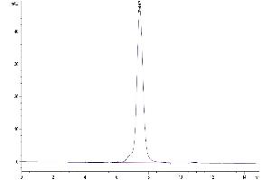 The purity of Mouse NKG2A&CD94 is greater than 95 % as determined by SEC-HPLC. (NKG2A & CD94 (AA 98-244) protein (mFc Tag))