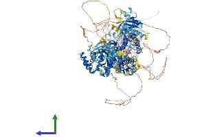 Protein Structure (PS) image for Glucocorticoid Receptor DNA Binding Factor 1 (GRLF1) (AA 1-1499) protein (His tag) (ABIN7564823)
