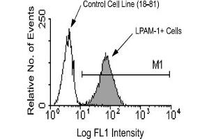 Flow Cytometry (FACS) image for anti-Integrin beta 7 (ITGB7) antibody (ABIN371135) (Integrin beta 7 抗体)