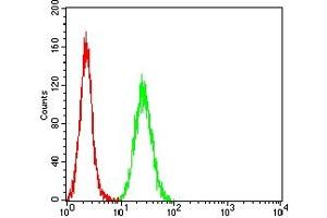 Flow cytometric analysis of Hela cells using BAX mouse mAb (green) and negative control (red). (BAX 抗体)