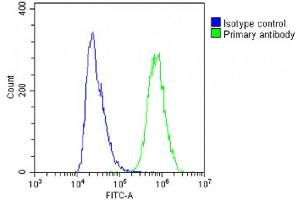 Overlay histogram showing A431 cells stained with (ABIN6242768 and ABIN6578855)(green line). (alpha Adducin 抗体  (AA 428-462))