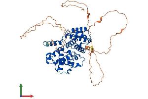 Protein Structure (PS) image for Cyclin A1 (CCNA1) (AA 1-465) protein (His tag) (ABIN7553291)