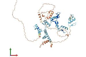 Protein Structure (PS) image for Zinc Finger Protein 307 (ZKSCAN4) (AA 1-545) protein (His tag) (ABIN7545780)