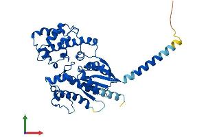 Protein Structure (PS) image for Guanine Nucleotide Binding Protein, alpha Stimulating, Olfactory Type (GNAL) (AA 1-381) protein (His tag) (ABIN7559326)